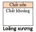 nhuyễn xương